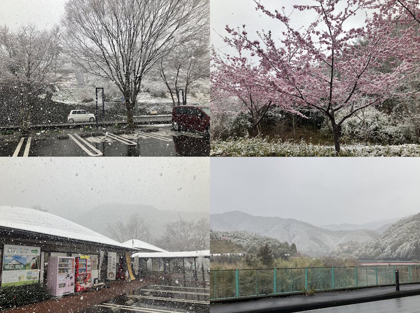 （山本係長ギャラリー）四万十町で大雪！？